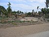IMG_8800