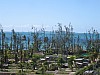 IMG_8831