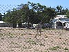 IMG_8837