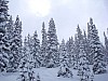 DSC00035