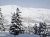 DSC00044
