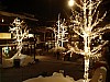 DSC02750