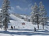 IMG_1003