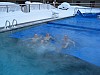 IMG_1060