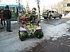P2060141