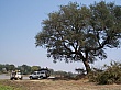 Sambia014