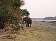 Sambia020