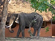Sambia024