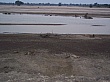 Sambia025