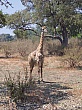 Sambia027