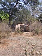 Sambia028