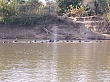 Sambia029