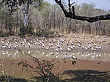 Sambia032
