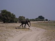 Sambia040