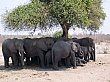 Sambia041