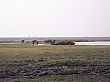 Sambia043