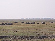 Sambia044