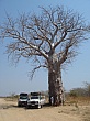 Sambia062