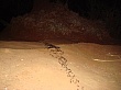 Sambia071