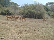 Sambia080