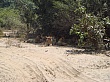 Sambia081