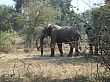 Sambia083