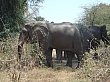 Sambia084