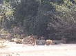 Sambia086