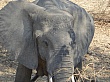 Sambia094