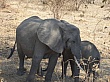 Sambia095