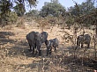 Sambia096