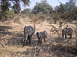 Sambia097