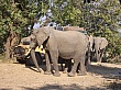 Sambia098