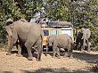 Sambia099