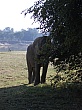 Sambia101