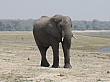 Sambia110