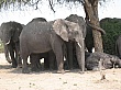 Sambia112