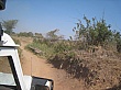 Sambia122