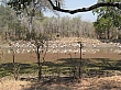Sambia136