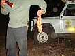 Sambia187