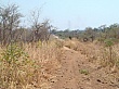 Sambia190