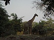 Sambia194