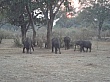 Sambia201