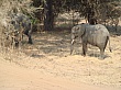 Sambia207
