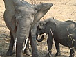 Sambia208