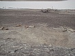 Sambia218