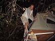 Sambia242